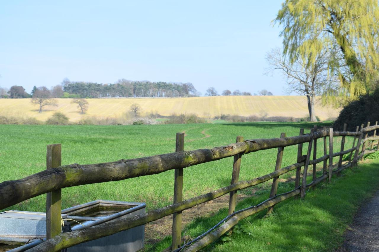 Downham Hall Bed and breakfast Wickford