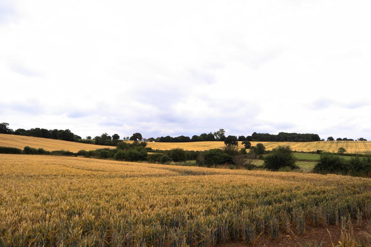 Bed & Breakfast Downham Hall